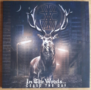 IN THE WOODS - Case the day 2LP black