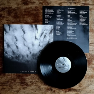 MORILD - Disse Fugle F?r Ingen At Se LP black