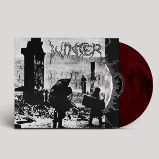 WINTER - Into darkness LP violet marble