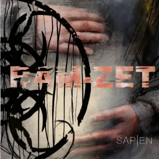 RAM ZET - Sapien 2LP black