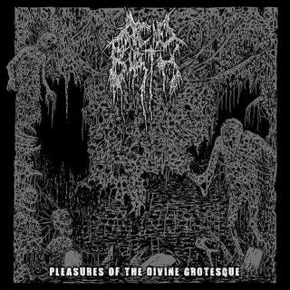 ACID BIRTH - Pleasures Of The..VINYL