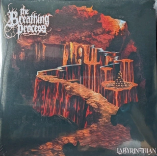 THE BREATHING PROCESS - Labyrinthanian black2LP